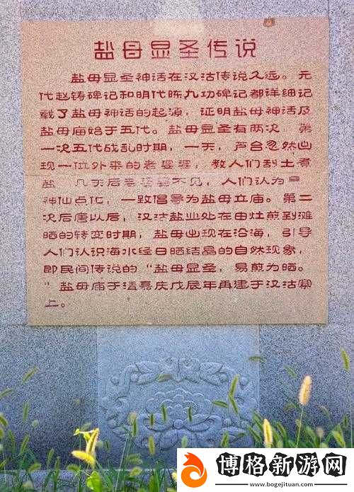 鹽母-16-哪里都看得見:探尋其無處不在的神秘蹤跡